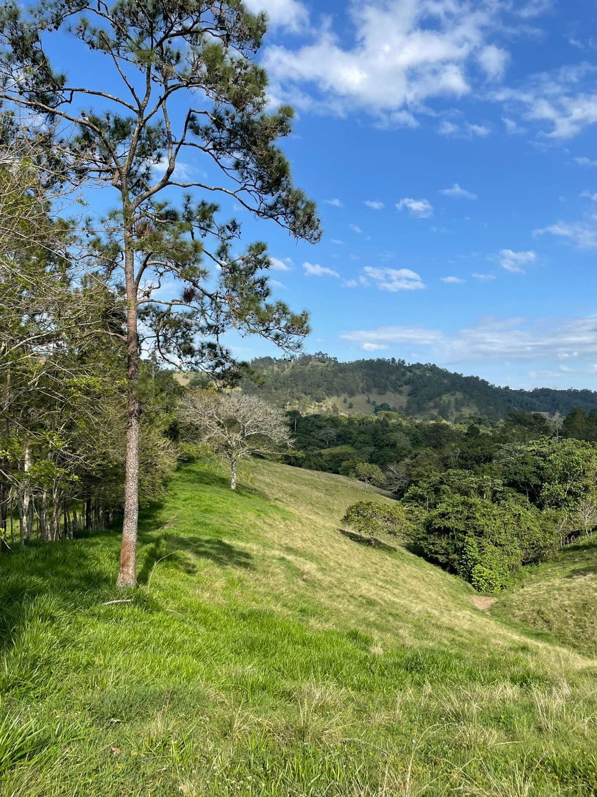 Vendo finca en Jarabacoa