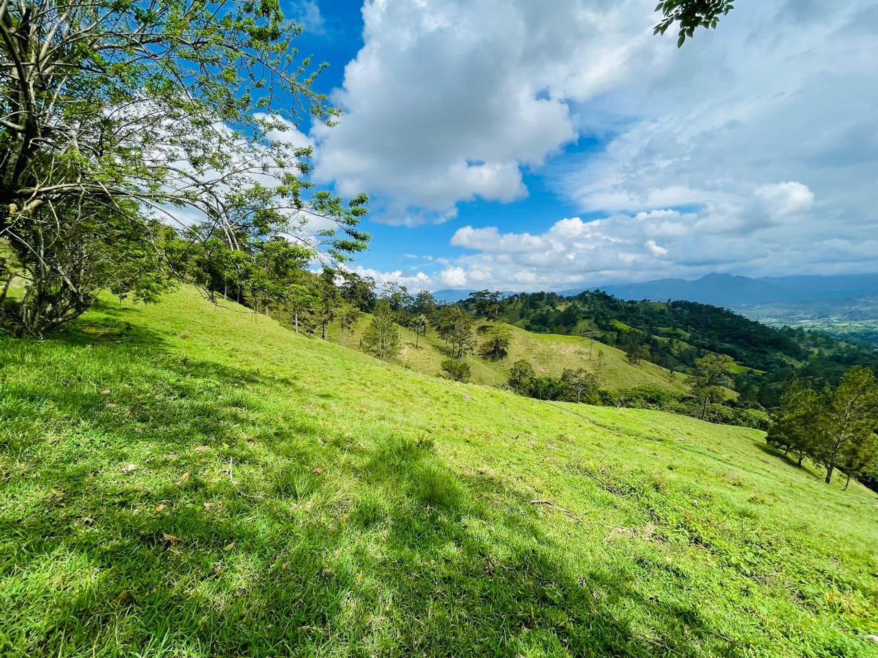 Vendo finca en Jarabacoa