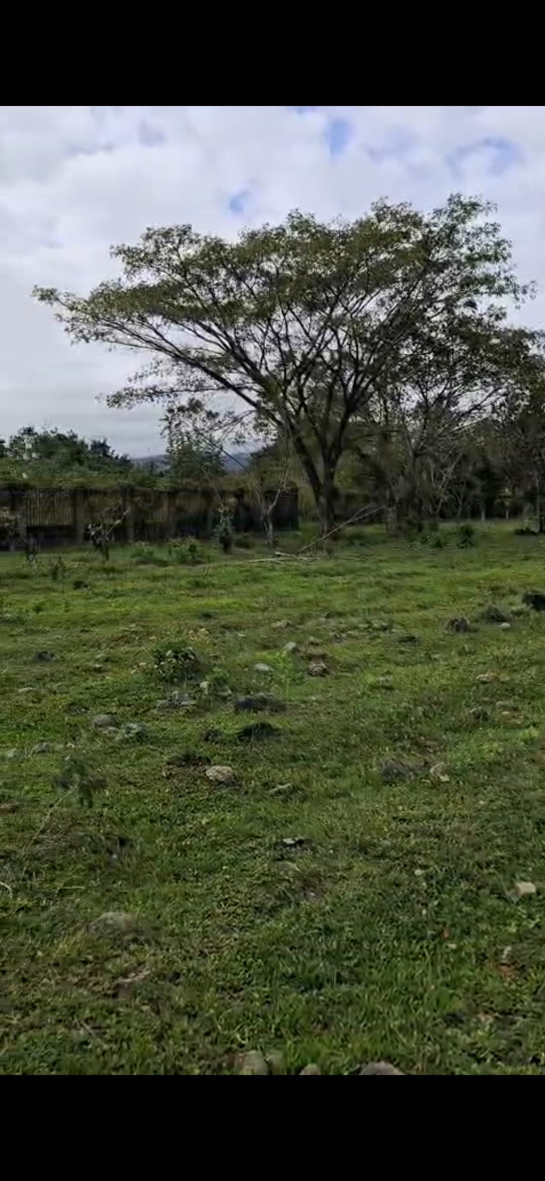 Finca en Bonao